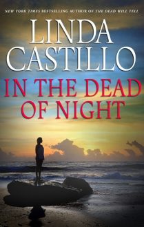In the Dead of Night by Linda Castillo