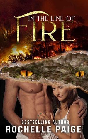 In the Line of Fire by Rochelle Paige
