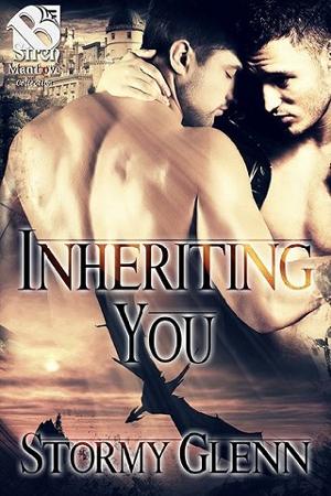 Inheriting You by Stormy Glenn