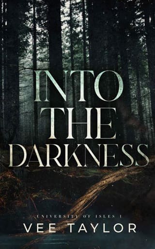 Into The Darkness by Vee Taylor