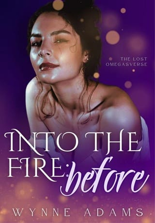Into the Fire: Before by Wynne Adams