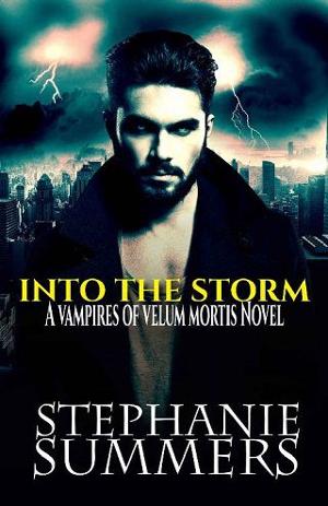 Into the Storm by Stephanie Summers