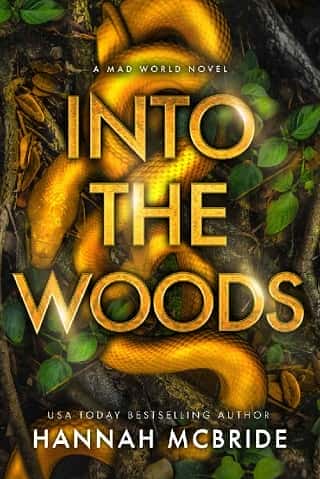 Into the Woods by Hannah McBride