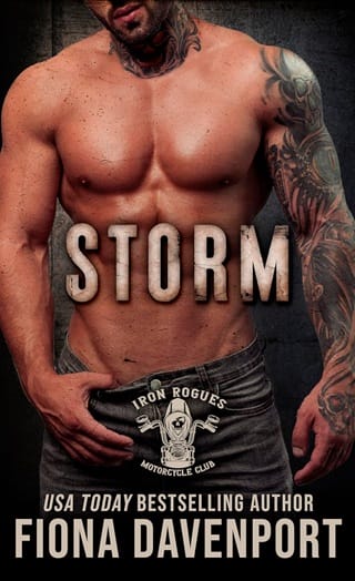 Iron Rogues MC: Vol. 2 by Fiona Davenport