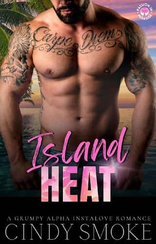 Island Heat by Cindy Smoke