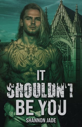 It Shouldn’t Be You by Shannon Jade