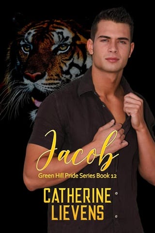 Jacob by Catherine Lievens