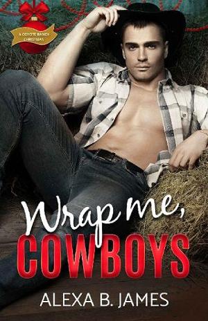 Wrap Me, Cowboys by Alexa B. James