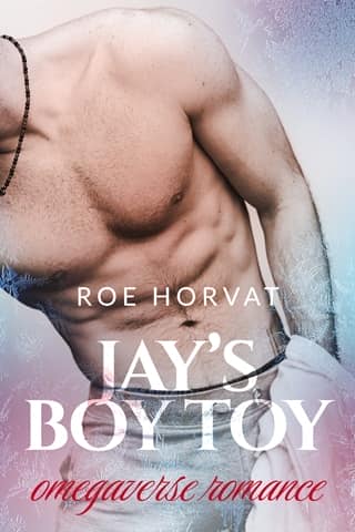 Jay’s Boy Toy by Roe Horvat