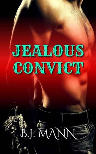 Jealous Convict by BJ Mann
