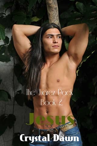 Jesus: The Fight Against Los Lobos by Crystal Dawn