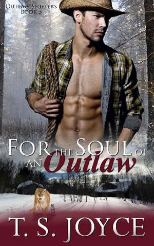 For the Soul of an Outlaw by T. S. Joyce