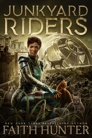 Junkyard Riders by Faith Hunter