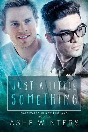Just a Little Something by Ashe Winters