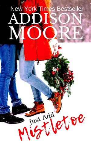 Just Add Mistletoe by Addison Moore