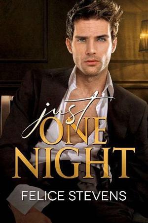 Just One Night by Felice Stevens