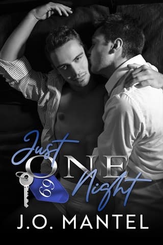 Just One Night by J.O Mantel