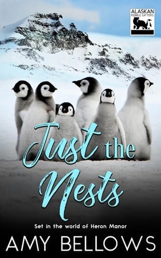 Just the Nests by Amy Bellows