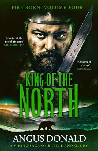 King of the North by Angus Donald