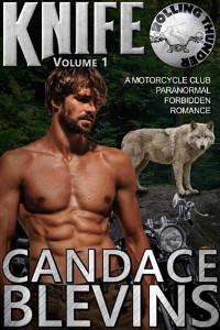 Knife, Volume 1 by Candace Blevins