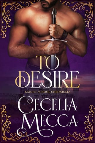 Knight School Chronicles Box Set by Cecelia Mecca