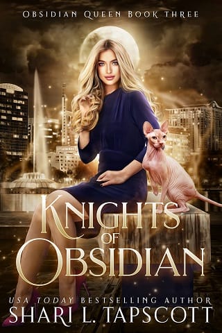 Knights of Obsidian by Shari L. Tapscott