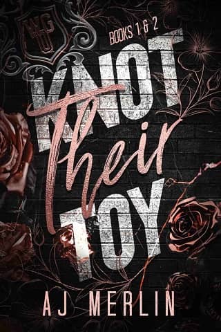 Knot Their Toy #1-2 by AJ Merlin