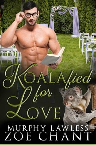 Koalafied for Love by Zoe Chant