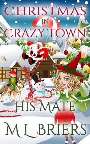 Christmas in Crazy Town by M. L Briers