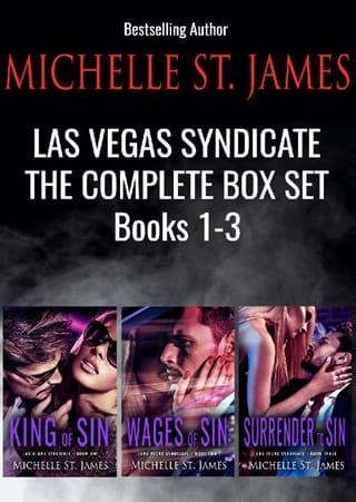 Las Vegas Syndicate Box Set by Michelle St. James