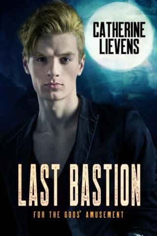 Last Bastion by Catherine Lievens