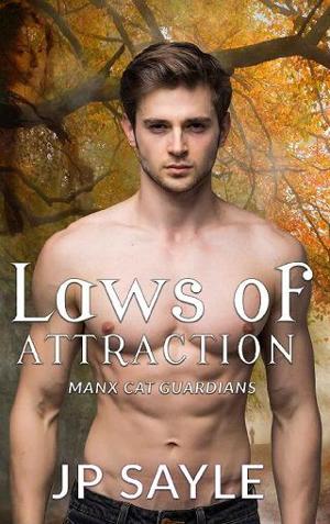 Laws of Attraction by JP Sayle