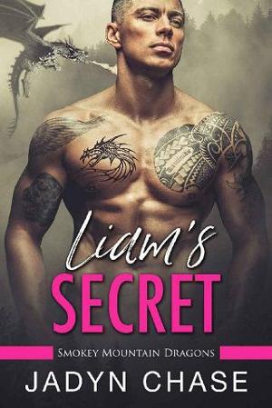 Liam’s Secret by Jadyn Chase