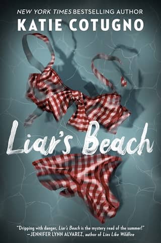 Liar’s Beach Novels by Katie Cotugno