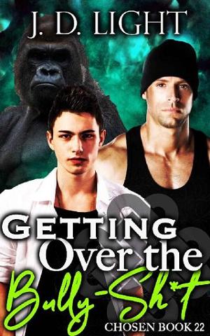Getting Over the Bully-Sh*t by J.D. Light