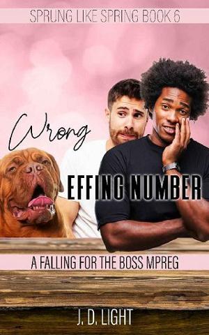 Wrong Effing Number by J.D. Light