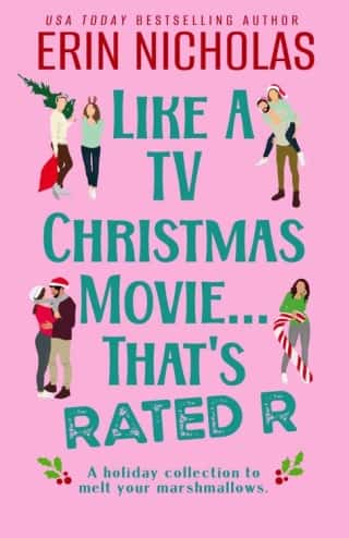 Like a TV Christmas Movie… by Erin Nicholas