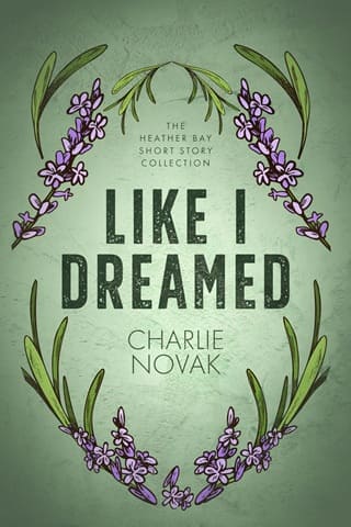 Like I Dreamed: The Heather Bay Short Story Collection by Charlie Novak