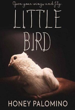 Little Bird by Honey Palomino