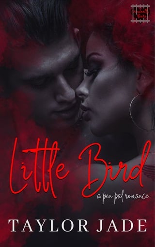 Little Bird by Taylor Jade