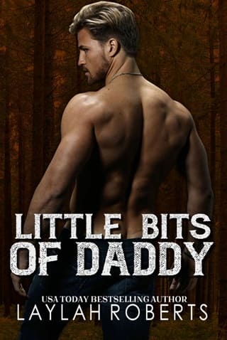 Little Bits of Daddy by Laylah Roberts