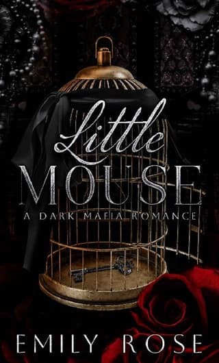 Little Mouse by Emily Rose