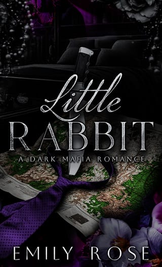 Little Rabbit by Emily Rose
