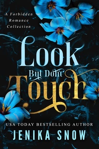 Look But Don’t Touch by Jenika Snow