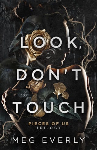 Look, Don’t Touch by Meg Everly