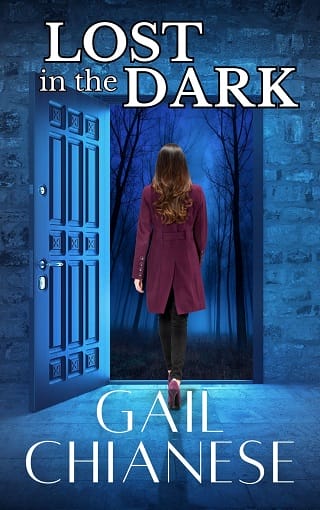 Lost in the Dark by Gail Chianese