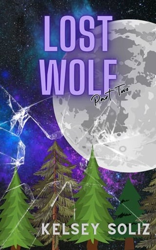 Lost Wolf by Kelsey Soliz