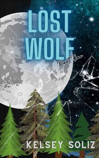Lost Wolf by Kelsey Soliz