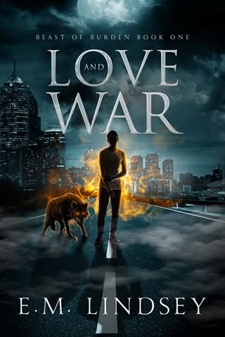 Love and War by E.M. Lindsey