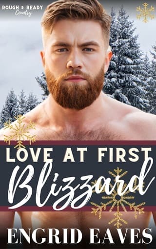 Love at First Blizzard by Engrid Eaves